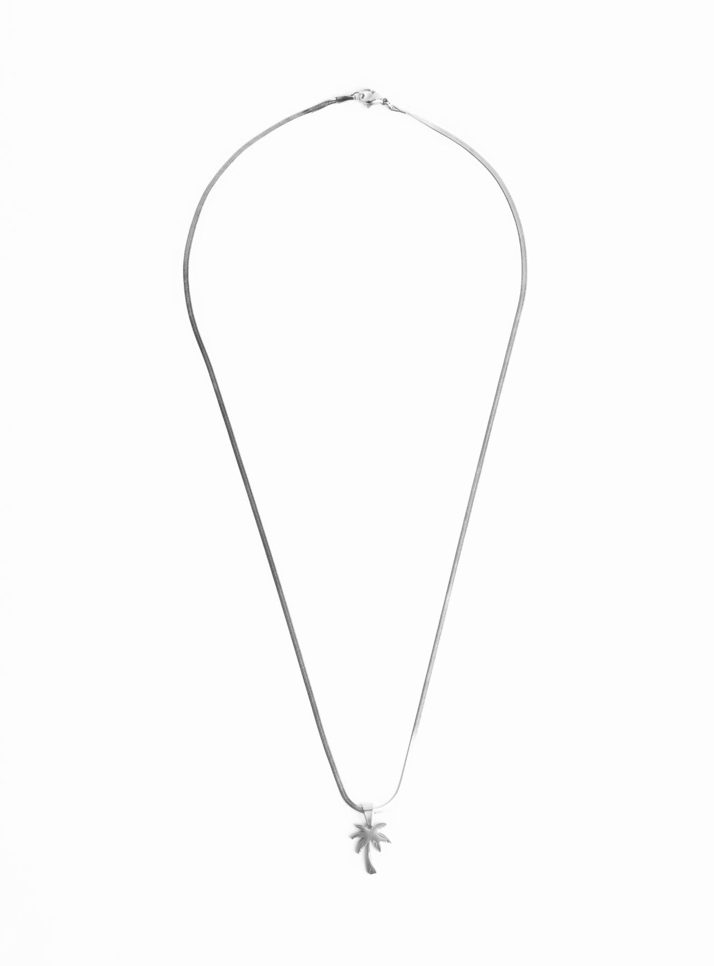 Ciondolo a forma di palma con catena (argento)