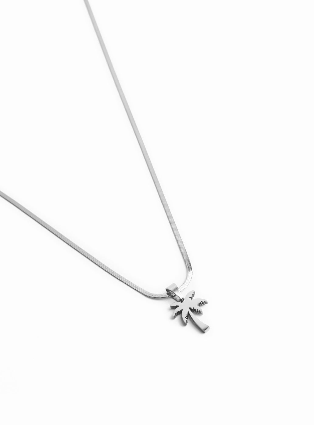 Ciondolo a forma di palma con catena (argento)